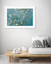 Almond Blossom - The Good Poster Co. - Paper Size : 50.8 x 40.6 cm