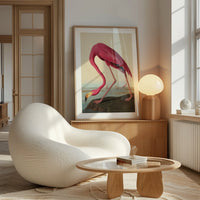 American Flamingo - The Good Poster Co. - Paper Size : 42.0 x 59.4 cm A2
