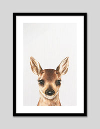 Baby Deer - The Good Poster Co. - Paper Size : 21.0 x 29.7 cm A4