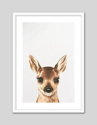 Baby Deer - The Good Poster Co. - Paper Size : 21.0 x 29.7 cm A4