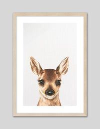 Baby Deer - The Good Poster Co. - Paper Size : 21.0 x 29.7 cm A4