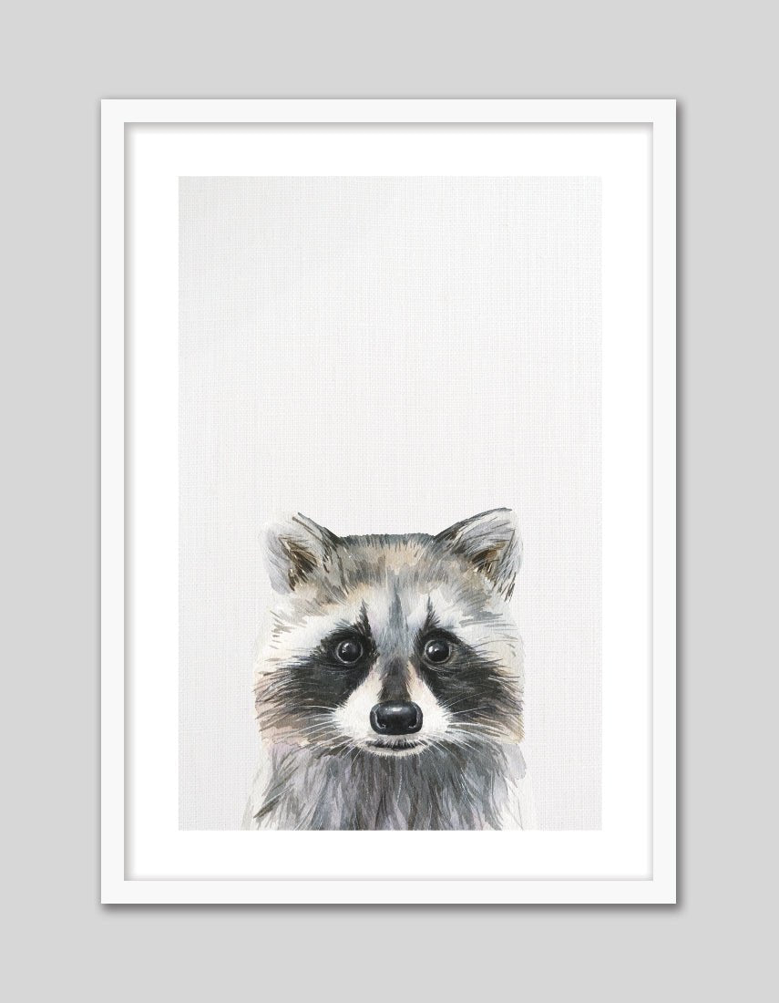 Baby Raccoon - The Good Poster Co. - Paper Size : 21.0 x 29.7 cm A4