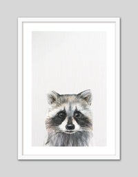 Baby Raccoon - The Good Poster Co. - Paper Size : 21.0 x 29.7 cm A4