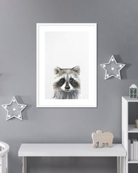 Baby Raccoon - The Good Poster Co. - Paper Size : 21.0 x 29.7 cm A4