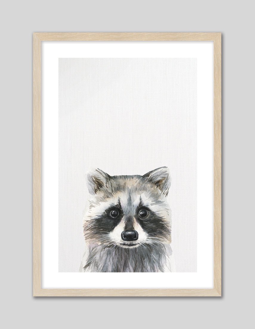 Baby Raccoon - The Good Poster Co. - Paper Size : 21.0 x 29.7 cm A4
