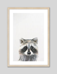 Baby Raccoon - The Good Poster Co. - Paper Size : 21.0 x 29.7 cm A4