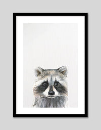 Baby Raccoon - The Good Poster Co. - Paper Size : 21.0 x 29.7 cm A4