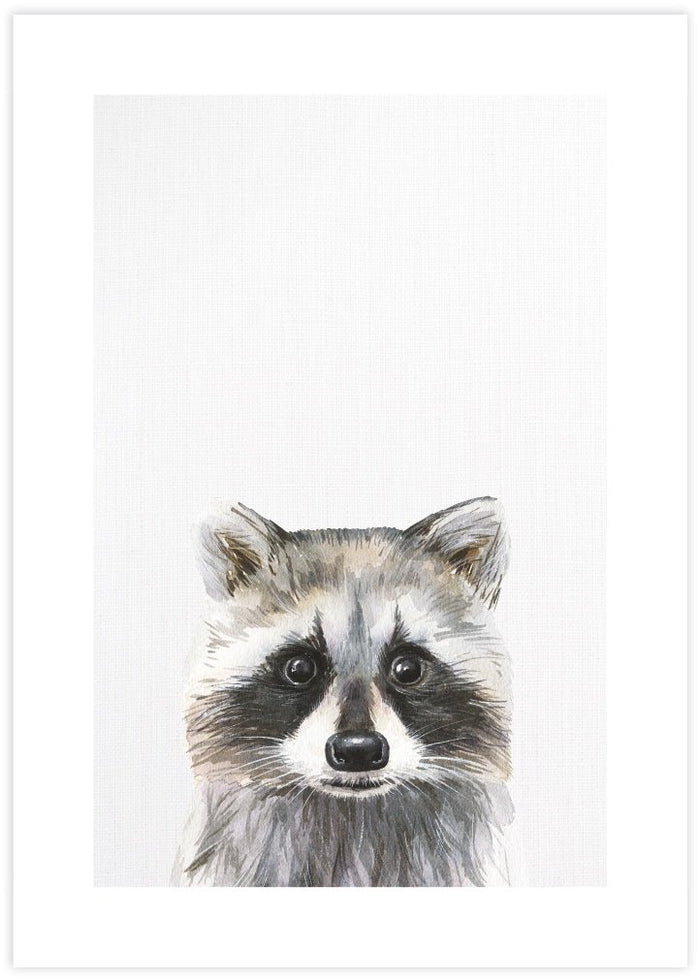 Baby Raccoon - The Good Poster Co. - Paper Size : 21.0 x 29.7 cm A4