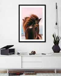 Beach Horse - The Good Poster Co. - Paper Size : 42.0 x 59.4 cm A2
