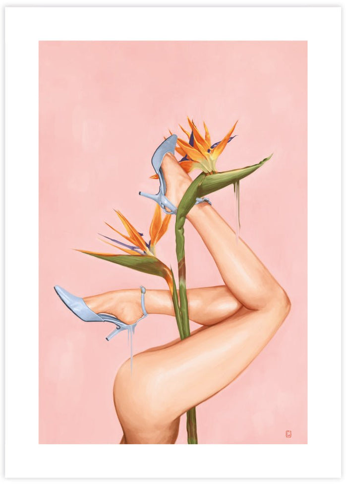 Birds of Paradise - The Good Poster Co. - Paper Size : 40.6 x 50.8 cm