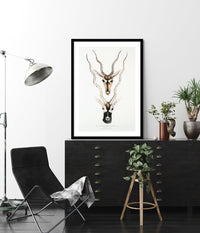 Indian Antelopes - The Good Poster Co. - Paper Size : 29.7 x 42.0 cm A3
