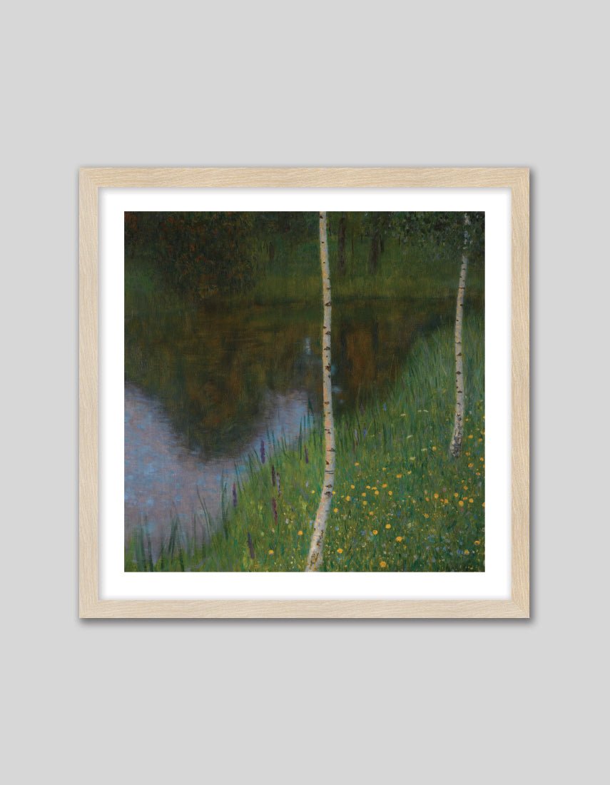 Lakeshore with Birches - The Good Poster Co. - Paper Size : 50.8 x 50.8 cm
