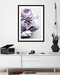 Purple Peonies - The Good Poster Co. - Paper Size : 42.0 x 59.4 cm A2