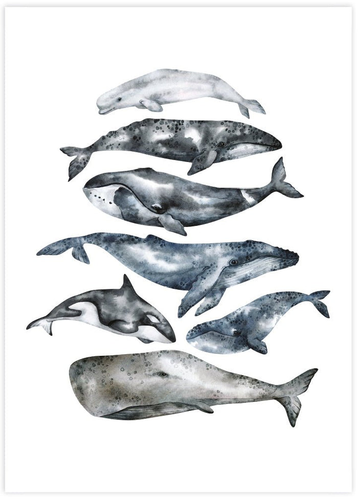Whale of a Time - The Good Poster Co. - Paper Size : 40.6 x 50.8 cm