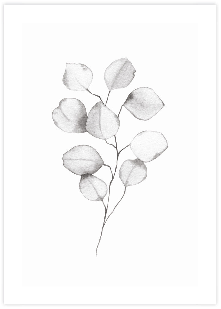 Eucalyptus Leaves Artwork | Black and White Art Prints from The Good Poster Company