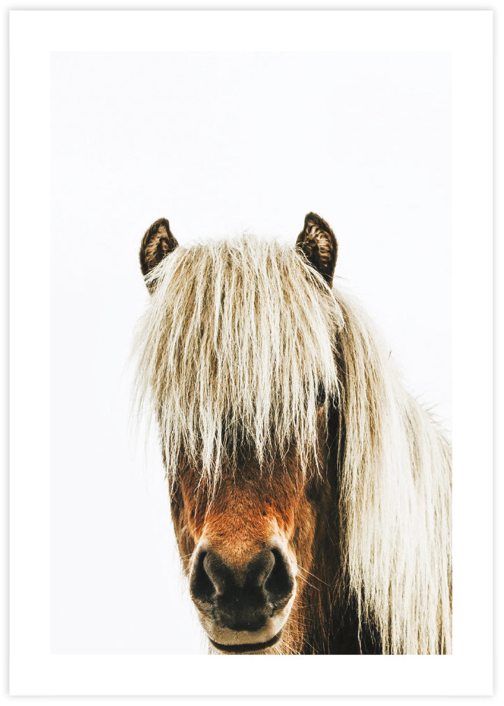 Photographic Horse Art Print | Contemporary Art | Popular Art | The Good Poster Company