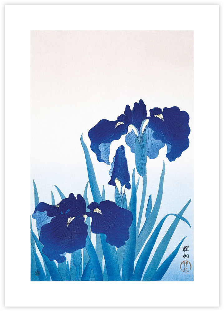 Iris Flowers Art Print by Ohara Koson | Vintage Japanese Art | The Good Poster Company
