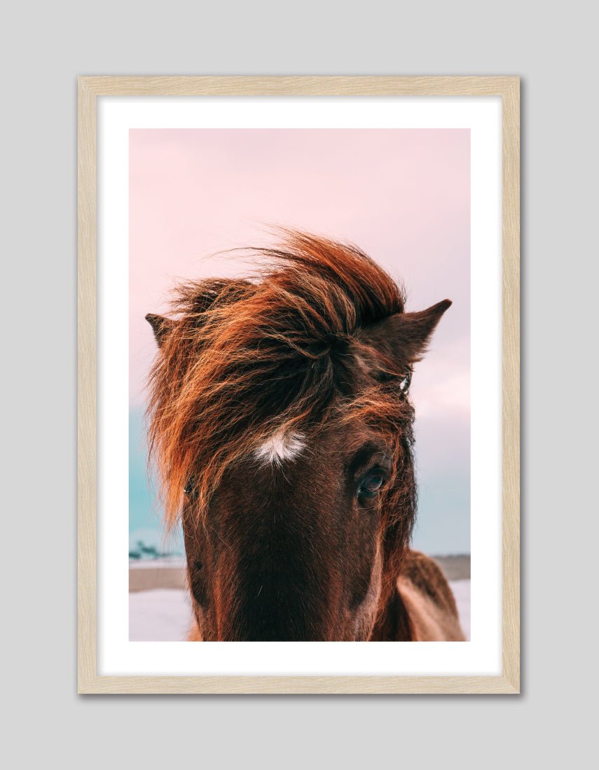 Beach Horse - The Good Poster Co. - Paper Size : 42.0 x 59.4 cm A2