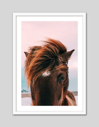 Beach Horse - The Good Poster Co. - Paper Size : 42.0 x 59.4 cm A2