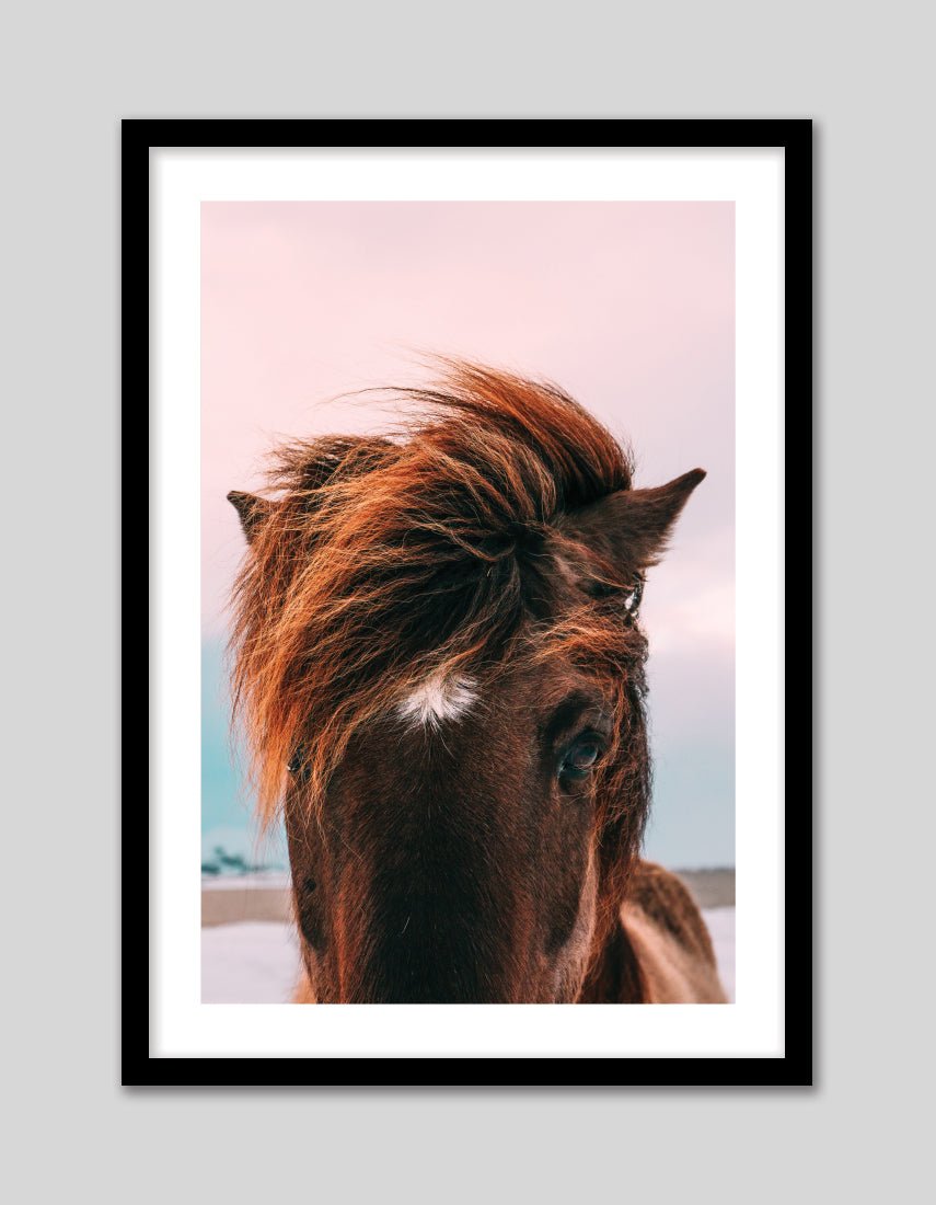 Beach Horse - The Good Poster Co. - Paper Size : 42.0 x 59.4 cm A2