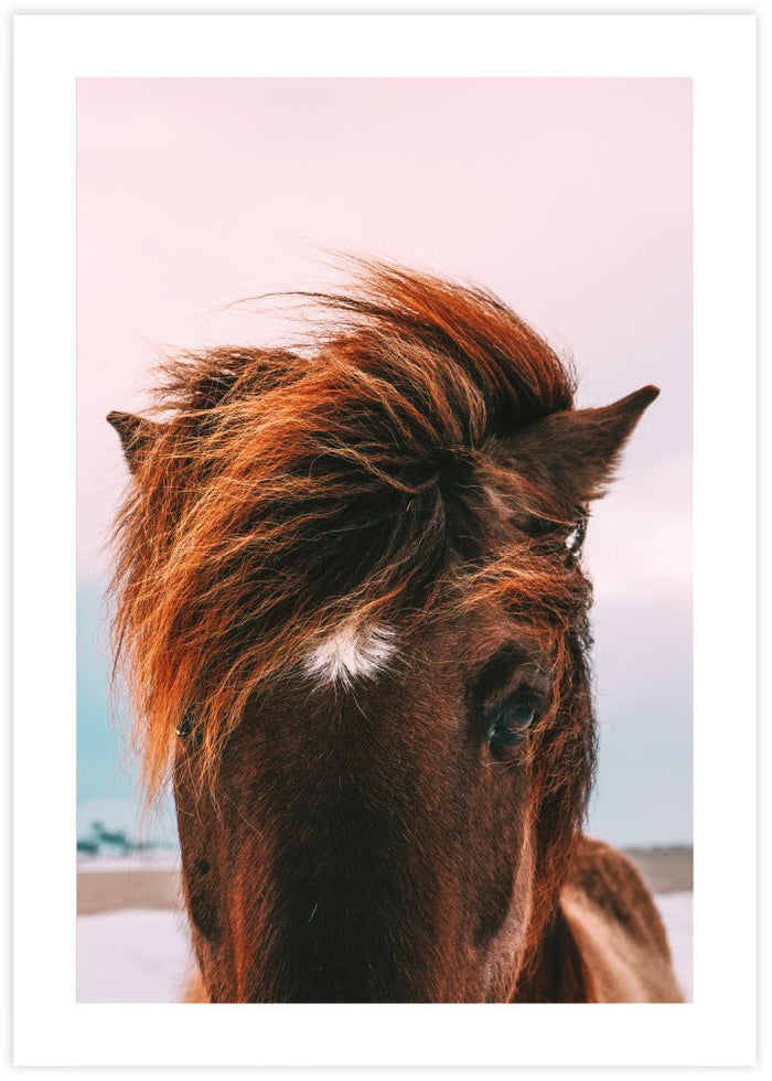 Beach Horse - The Good Poster Co. - Paper Size : 42.0 x 59.4 cm A2