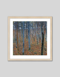 Beech Grove I - The Good Poster Co. - Paper Size : 40.6 x 40.6 cm