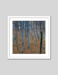 Beech Grove I - The Good Poster Co. - Paper Size : 40.6 x 40.6 cm