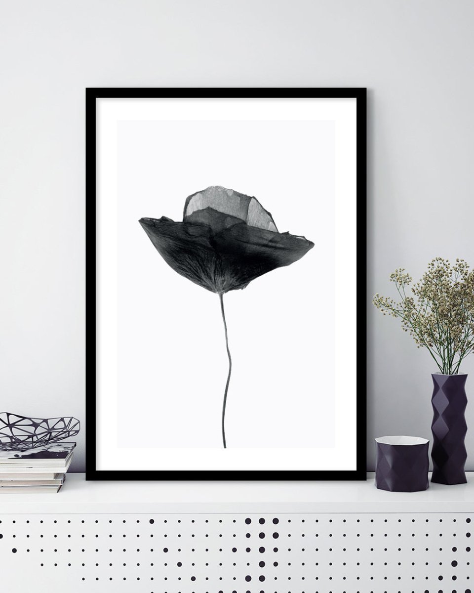 Black Poppy - The Good Poster Co. - Paper Size : 29.7 x 42.0 cm A3