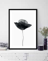 Black Poppy - The Good Poster Co. - Paper Size : 29.7 x 42.0 cm A3