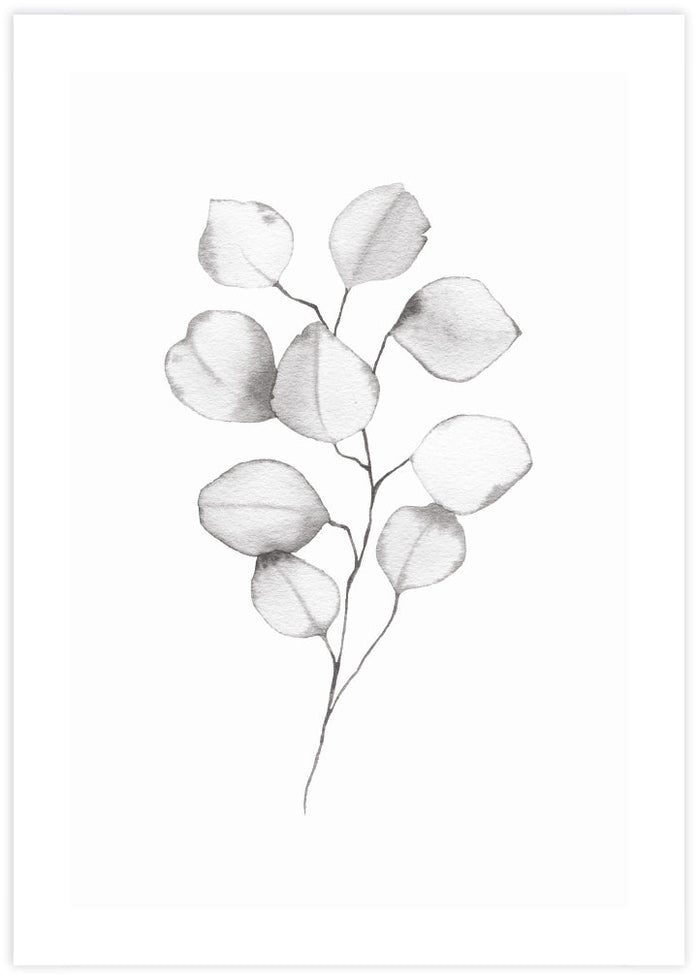 Eucalyptus Leaves - The Good Poster Co. - Paper Size : 29.7 x 42.0 cm A3