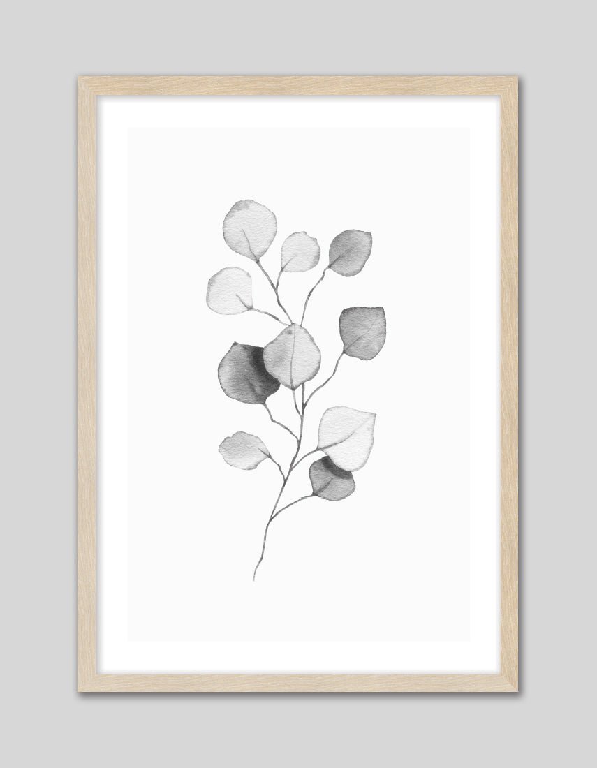 Eucalyptus Leaves II - The Good Poster Co. - Paper Size : 29.7 x 42.0 cm A3