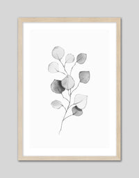 Eucalyptus Leaves II - The Good Poster Co. - Paper Size : 29.7 x 42.0 cm A3