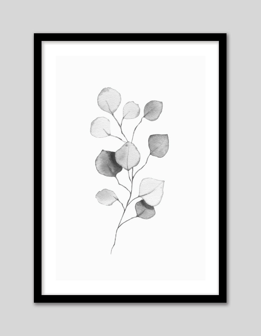 Eucalyptus Leaves II - The Good Poster Co. - Paper Size : 29.7 x 42.0 cm A3