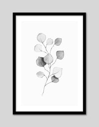 Eucalyptus Leaves II - The Good Poster Co. - Paper Size : 29.7 x 42.0 cm A3