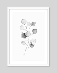 Eucalyptus Leaves II - The Good Poster Co. - Paper Size : 29.7 x 42.0 cm A3