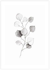 Eucalyptus Leaves II - The Good Poster Co. - Paper Size : 29.7 x 42.0 cm A3
