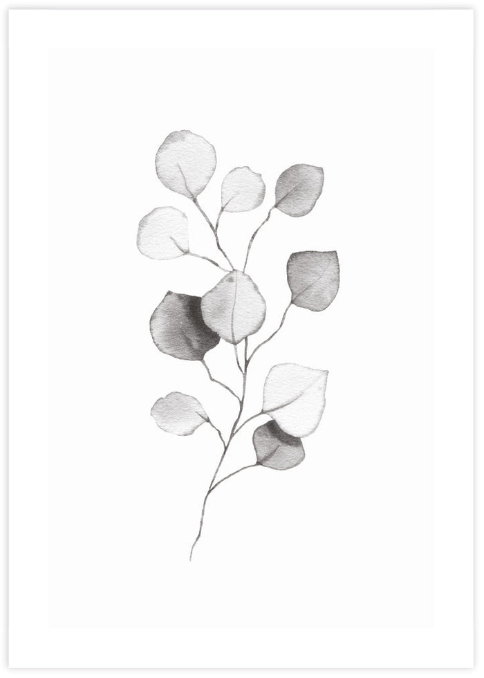 Eucalyptus Leaves II - The Good Poster Co. - Paper Size : 29.7 x 42.0 cm A3