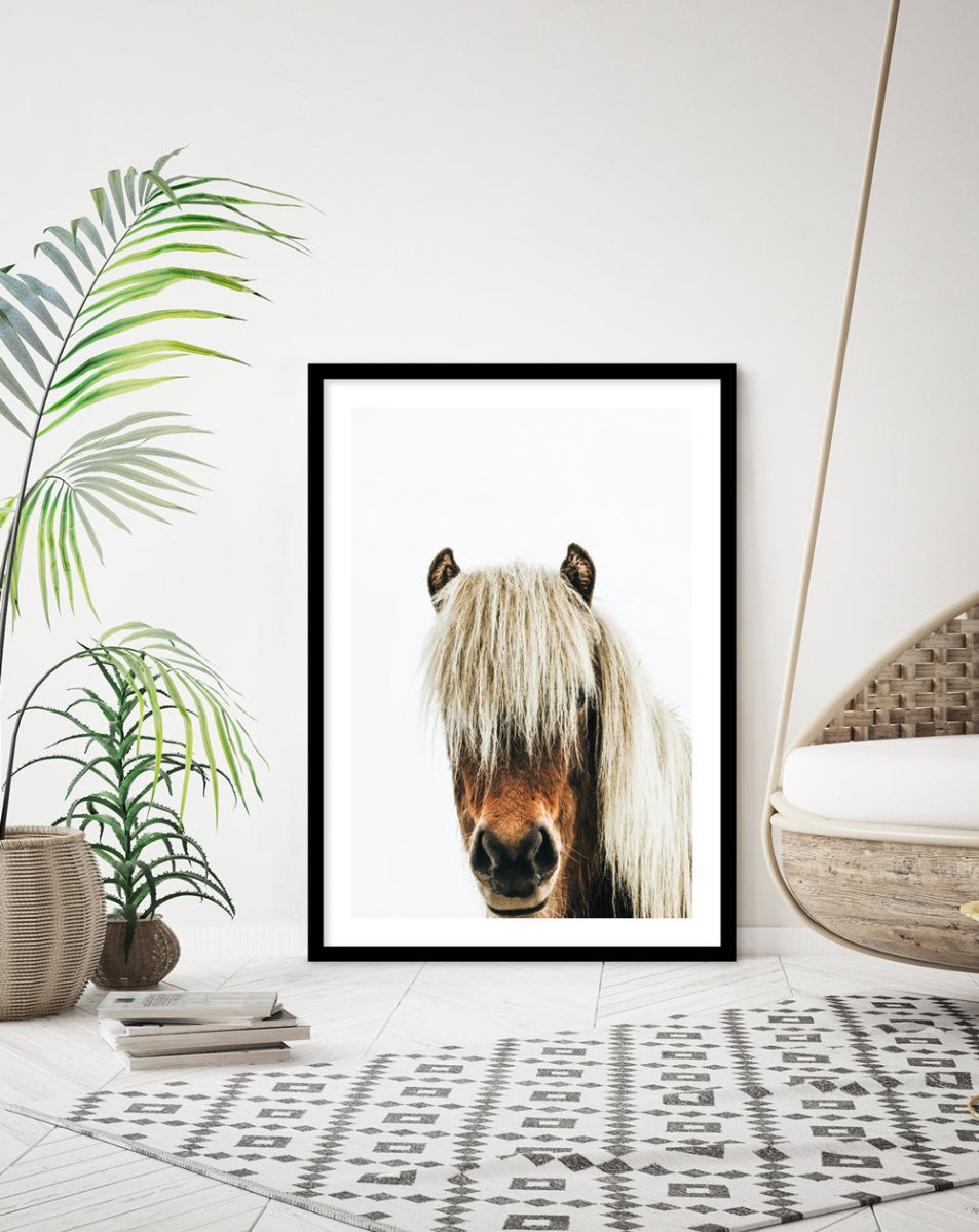 Icelandic Horse - The Good Poster Co. - Paper Size : 42.0 x 59.4 cm A2