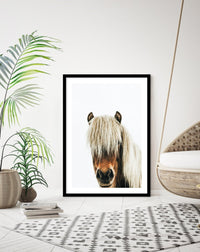 Icelandic Horse - The Good Poster Co. - Paper Size : 42.0 x 59.4 cm A2
