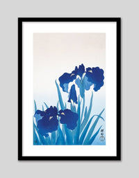 Iris Flowers - The Good Poster Co. - Paper Size : 21.0 x 29.7 cm A4