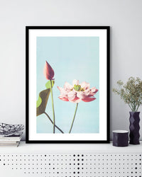 Lotus Flower - The Good Poster Co. - Paper Size : 29.7 x 42.0 cm A3