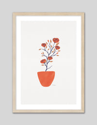 Potted Camellias - The Good Poster Co. - Paper Size : 29.7 x 42.0 cm A3