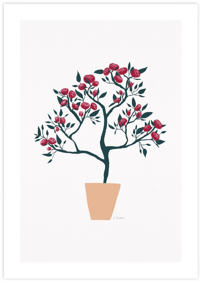 Potted Roses - The Good Poster Co. - Paper Size : 29.7 x 42.0 cm A3