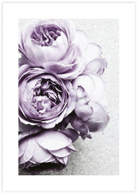 Purple Peonies - The Good Poster Co. - Paper Size : 42.0 x 59.4 cm A2