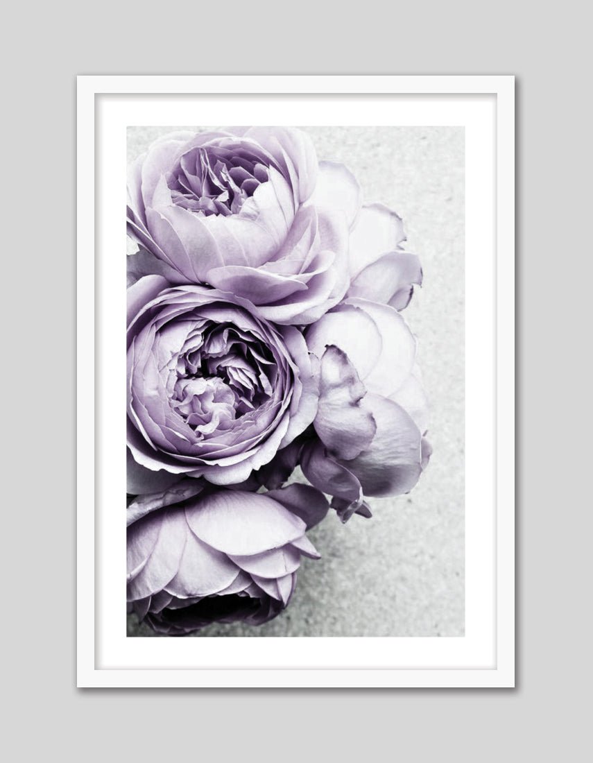 Purple Peonies - The Good Poster Co. - Paper Size : 42.0 x 59.4 cm A2