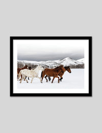 Snow Horses - The Good Poster Co. - Paper Size : 42.0 x 59.4 cm A2
