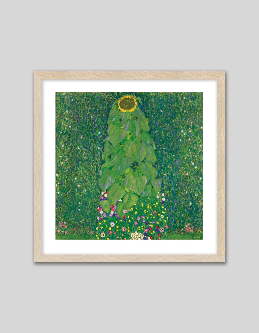 Sonnenblume - The Good Poster Co. - Paper Size : 40.6 x 40.6 cm