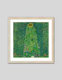 Sonnenblume - The Good Poster Co. - Paper Size : 40.6 x 40.6 cm