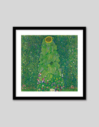 Sonnenblume - The Good Poster Co. - Paper Size : 40.6 x 40.6 cm